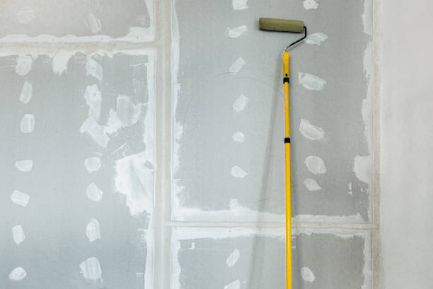 Best Comprehensive Air Testing for Mold Contaminants  in Sevierville, TN