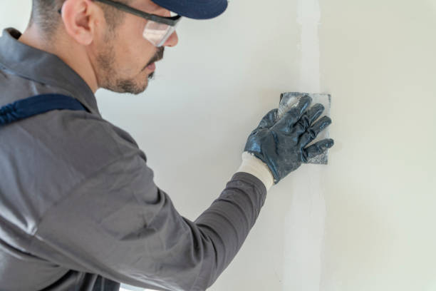 Best Mold Damage Restoration  in Sevierville, TN