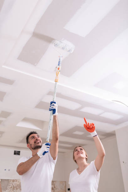 Best Biohazard Mold Removal  in Sevierville, TN