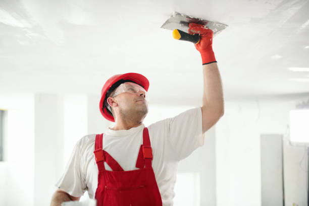  Sevierville, TN Mold Removal Pros
