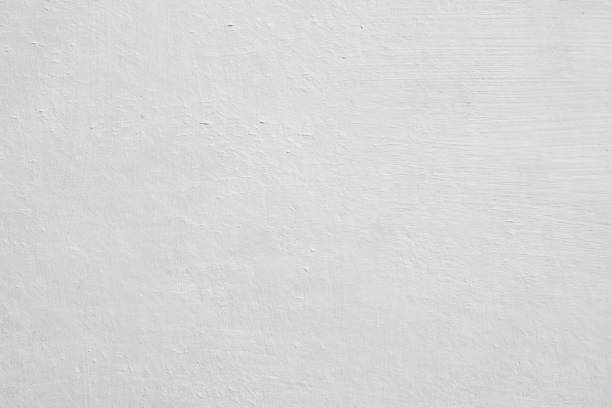 Best Mold Remediation for Healthcare Facilities  in Sevierville, TN