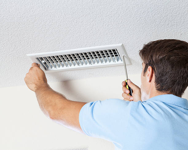 Asbestos and Lead Testing During Mold Inspection in Sevierville, TN